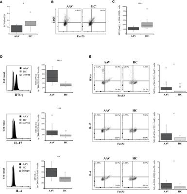 Oxidative Stress Promotes Instability of Regulatory T Cells in Antineutrophil Cytoplasmic Antibody-Associated Vasculitis